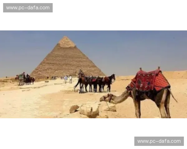 尼罗河的荣耀与赤道的风情：埃及与乌干达的奇妙交响